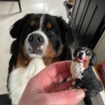 Custom Pet Wedding Cake Topper