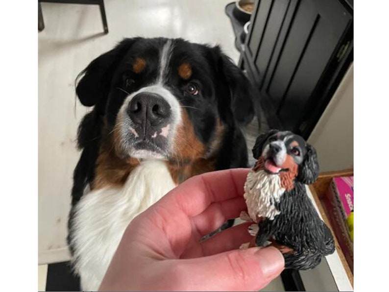il_794xN.3929719583_oobd.jpg Custom Pet Wedding Cake Topper - Image 1