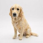 Custom 3D Printed Pet Figurine