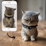 Custom 3D Pet Mini Sculpture