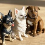 Custom 3D Pet Keychain