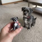 Custom Pet Wedding Cake Figurine